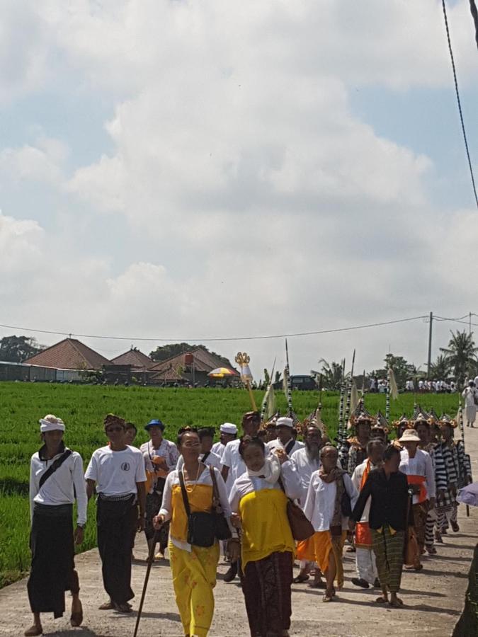 Yogi Homestay Canggu Buitenkant foto