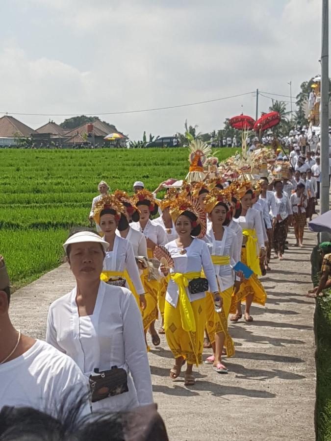 Yogi Homestay Canggu Buitenkant foto