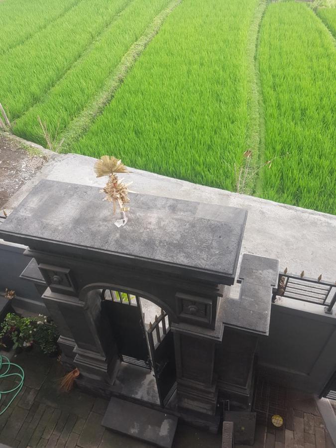 Yogi Homestay Canggu Buitenkant foto